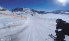 Humor -  Fun Sports Ski Free Style Fun Win 