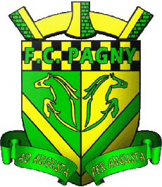 Sports Soccer Club France Grand Est 55 - Meuse Pagny sur Meuse FC 