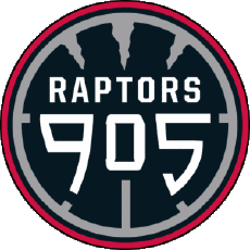 Sports Basketball U.S.A - N B A Gatorade Raptors 905 