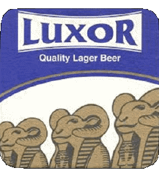 Getränke Bier Ägypten Luxor 