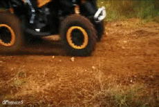 Humor - Fun Transporte Quad Fun - Win 