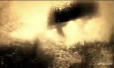 Humor - Fun Deportes Esquí acuático Wakeboard Win Fun 