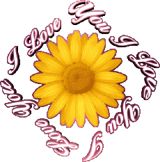 Messagi Inglese I Love You 02 