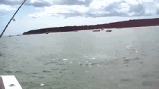 Umorismo -  Fun PERSONE Pescatori Fun Fail 