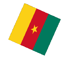 Flags Africa Cameroon Sphere - Cube 
