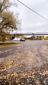 Humor - Fun Transporte Coches Accidente Fail 02 