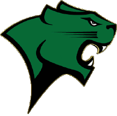 Sport N C A A - D1 (National Collegiate Athletic Association) C Chicago State Cougars 