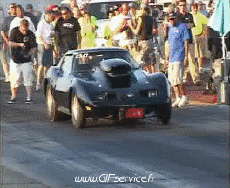 Umorismo -  Fun Trasporti Macchine Wheeling Car 