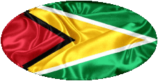 Fahnen Amerika Guyana Oval 