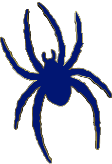Sportivo N C A A - D1 (National Collegiate Athletic Association) R Richmond Spiders 
