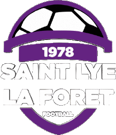 Sport Fußballvereine Frankreich Centre-Val de Loire 45 - Loiret As St Lye La Foret 