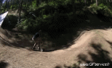 Humor -  Fun Sport Skateboard Free Style Fun - Win 02 