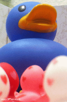 Humor -  Fun 3d Effects Stéreoscopique Wiggle 