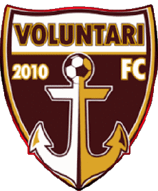 Sport Fußballvereine Europa Rumänien FC Voluntari 