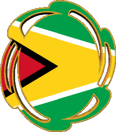 Flags America Guyana Form 01 