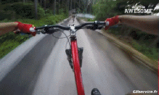 Humor - Fun Deportes Bicicleta de montaña Fun - Win 02 