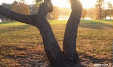 Humor -  Fun PEOPLE Acrobatics Various Fail 02 