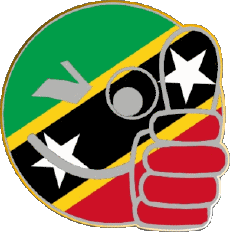 Banderas América Saint Kitts y Nevis Smiley - OK 