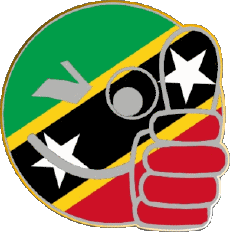 Bandiere America Saint Kitts e Nevis Faccina - OK 