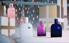 Mode Sports Wear Lacoste 