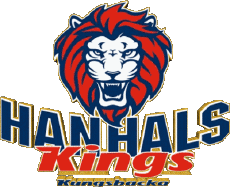 Sport Eishockey Schweden Hanhals IF 