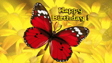 Messagi Inglese Happy Birthday Butterflies Sfondo animato 001 