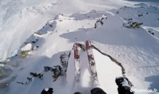 Humor -  Fun Sports Ski Free Ride Fun Win 