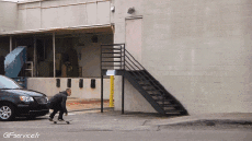 Humor - Fun Deportes Skateboard Free Style Fun - Win 02 