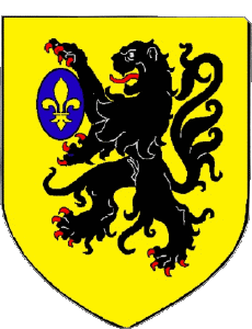 Fahnen Frankreich Abteilungen - Städte 13 SALON DE PROVENCE 