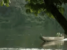 Multi Média Chaines -  TV France Voyage Jingle Pub 