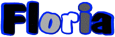 Vorname WEIBLICH - Frankreich F Floria 