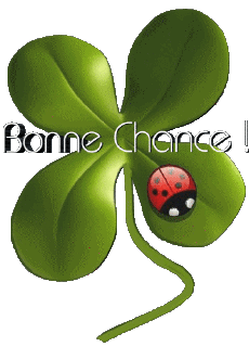 Messages French Bonne Chance 01 