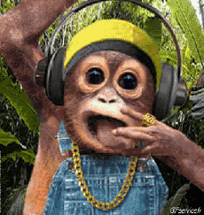 Humour - Fun Animaux Singes Serie 01 