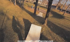 Umorismo -  Fun Sportivo Pattino a rotelle Fun - Win 