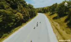 Umorismo -  Fun Sportivo Skateboard Road Down Hill Fun Win 