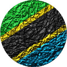 Flags Africa Tanzania Rond 