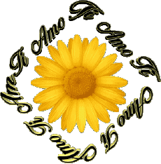 Messages Italien Ti Amo 02 