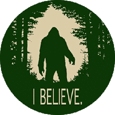 Bevande Birre USA Great Divide 