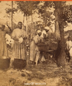 Humor -  Fun 3d Effekte Stéreoscopique Wiggle 