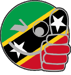 Banderas América Saint Kitts y Nevis Smiley - OK 