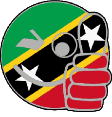 Flags America Saint Kitts and Nevis Smiley - OK 