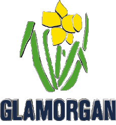 Sportivo Cricket Regno Unito Glamorgan County 