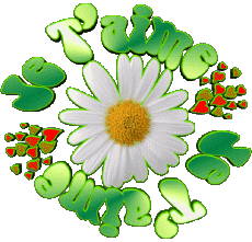 Messagi Francese Je T'aime 05 