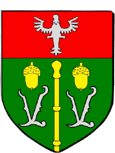 Wappen-Fahnen Frankreich Abteilungen - Städte 54 VANDOEUVRE LES NANCY 