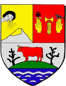 Drapeaux France Départements - Villes 973 SINNAMARY 