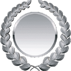 Messagi Inglese Congratulations 11 