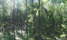 Humour - Fun Sports Tyrolienne Gamelle Fail 