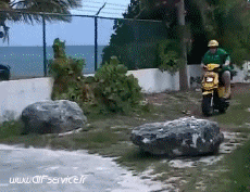 Humor - Fun Transporte Scooter Fun Accident - Fail 