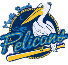 Deportes Béisbol U.S.A - Carolina League Myrtle Beach Pelicans 