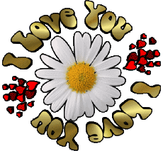 Messages English I Love You 04 